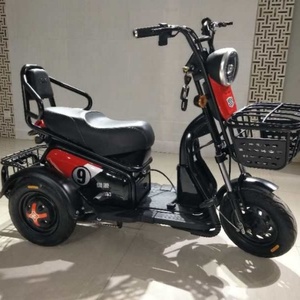 Bon prix, tricycle électrique à batterie 500w 48v 20ah avec clignotants - Product Image 5