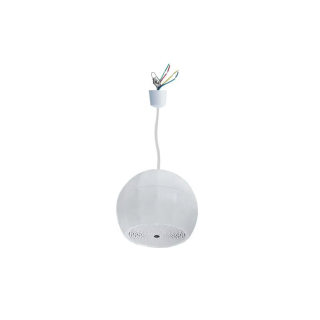 XIDLY ABS Housing Full Range 5"*1 Waterproof IP55 100V 10W/5W/2.5W White 3 Year Warranty Hanging Commercial Pendant Speaker