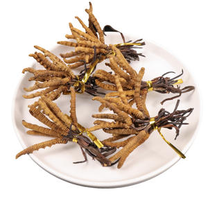 Cordyceps naturais para plantas 100% herbal cordyceps sinensis - Product Image 4