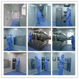 <strong>Allium</strong> <strong>Tuberosum</strong> Seed Extract Powder 15:1 / extract high quality fresh goods large stock factory supply - Product Image 3