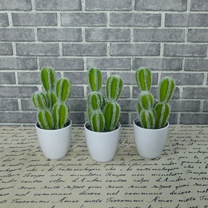 Hot prodotto di esportazione di cactus <span class=keywords><strong>piante</strong></span> succulente vaso di decorazione - Product Image 2