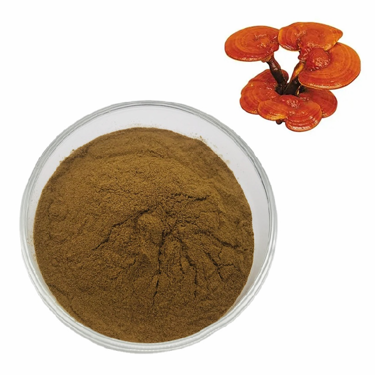 Органический сыпучий экстракт грибов рейши Ganoderma Lucidum порошок растительный экстракт