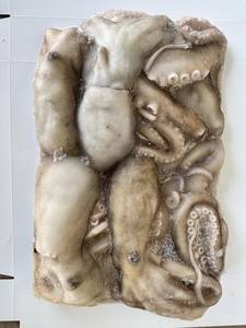 Obtener Precio Ahora: Pulpo Congelado, Calamar, Pulpo - Product Image 2