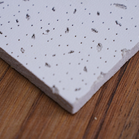 Fabricant OEM/ODM de plaques de plâtre standard pour plafond, plaques de plâtre pour plafond