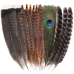 Ailes de dinde sauvage teintées fantaisie avec motif rayé naturel pour accessoires de coiffure, décoration intérieure et artisanat - Product Image 1