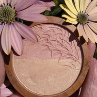 Palette d'ombres à paupières en bambou personnalisée, couleur unie, vente flash, vente en gros, pour emballage cosmétique