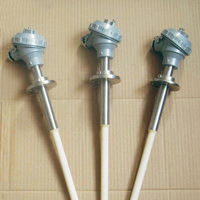 Haichen Ceramic Sheathed K Type High Temperature Thermocouple for Electric Furnace