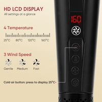 Lisseur Électrique Professionnel à Air Chaud pour Cheveux Humides et Secs – Piastra Per Capelli pour le Lissage des Cheveux