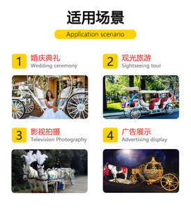Wedding Electric Horse Drawn Carriage Customized Color Luxury Classic Iron Royal Popular Carriages on Sale - Product Image 6