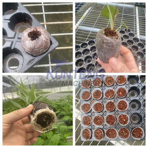 Machine de fabrication de briques de tourbe de coco de haute qualité - Product Image 5