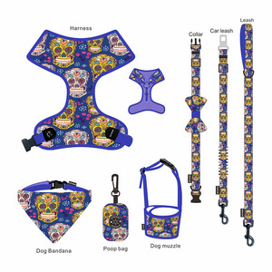 Juego de correas ajustables para perros de 8 piezas, correa para pasear perros y gatos, conjunto de arnés para perros pequeños - Product Image 1