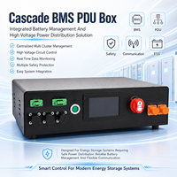 BMS ESS Haute Tension 128S 192S 256S 400V 512V 1000V 300A 500A 600A Master Slave pour Onduleur Solaire GPS BT CAN LiFePO4 PDU Actif