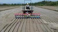 Vente directe d'usine pour le planteur de précision de riz/12 rangées de riz semant la machine avec du CE