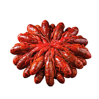 Écrevisses entières épicées prêtes à cuire congelées IQF écrevisses épicées de style Hunan pré-assaisonnées
