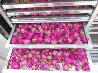 Sécheur alimentaire intelligent Hello River Brand, sécheur à air chaud, machine à sécher les fleurs de rose, déshydrateur de feuilles, sécheur de pétales de rose, certifié CE