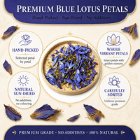 Pétales de lotus bleu naturels séchés en vrac, directement de l'usine, Nymphaea Caerulea, matière première pour tisane, vente en gros