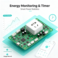 Module Wi-Fi pour prise intelligente V1.0, carte PCBA avec système d'exploitation Tuya, contrôle à distance, minuterie, surveillance de la consommation d'énergie pour maison intelligente