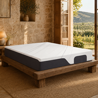 Matelas en mousse à mémoire de forme gel Queen Size de 12 pouces, livré en boîte, pour chambre principale et chambre d'amis, avec confort en mousse de soutien