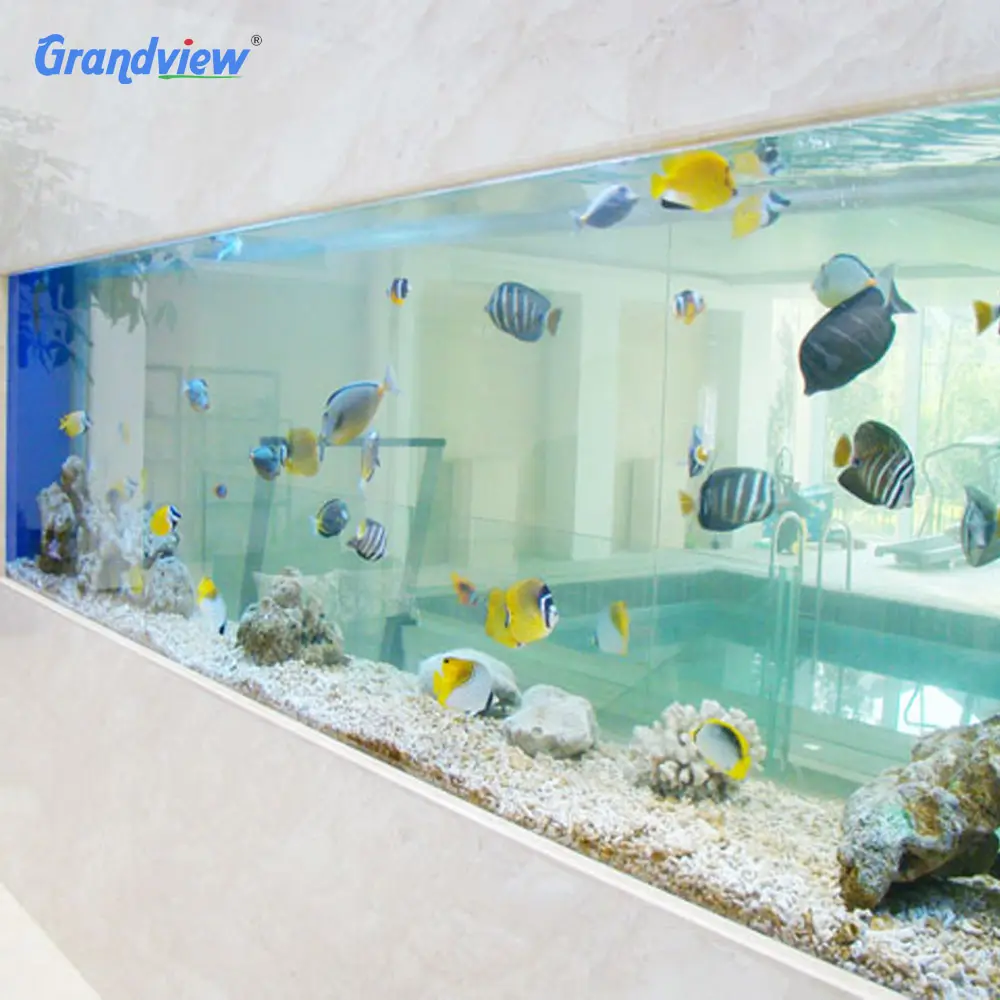 Forma personalizada grande limpar cilindro de acrílico transparente do tanque de peixes de aquário de água salgada