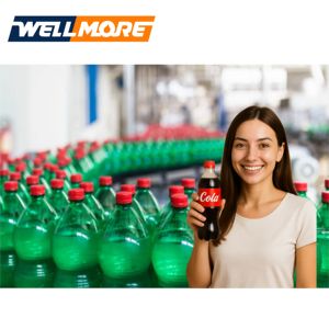 Wellmore máy tiết kiệm năng lượng CO2 có ga uống điền Máy dán nhãn cho chai nhựa - Product Image 6