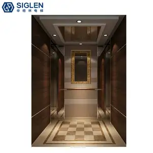 중국 안전 고속 저소음 빌라 엘리베이터 고품질 VVVF 드라이브 타입 빌라 리프트