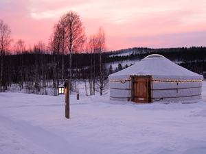 Tente de <span class=keywords><strong>Camping</strong></span> imperméable, cadre en acier, extérieur, yourte de tigre, mongol - Product Image 6