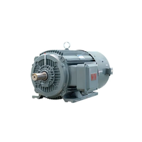 Motor de Control de Velocidad de Frecuencia Variable Trifásico Serie YE3VF de la Industria Wannan |   Eficiencia IE3 |   Bobina de Cobre Completa |   1500 rpm