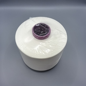 2025 Top nhà máy bán hàng xoắn sợi 100d-600tpm bán ngu si đần độn tươi sáng màu trắng đen FDY polyester sợi cho may và nhãn - Product Image 5