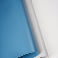 Produits chimiques non toxiques chlorure de polyvinyle (PVC) matériaux de charpente efficaces bâtiments en tissu innovant bâche de maison flexible