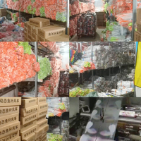 Venta al por Mayor de Regalos de Juegos Infantiles para Exteriores, Seguros, No Tóxicos, de Plástico, Fáciles de Volar, Dinámicos, para Niños