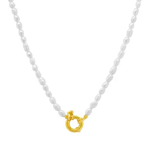 精致的不锈钢珠宝扣挂件魅力锁扣领18k镀金波西米亚天然淡水种子珍珠项链