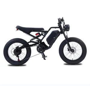 750 W 1500 W bici elettrica 20 pollici grasso motore della bicicletta elettrica telaio in lega di alluminio E-Bike