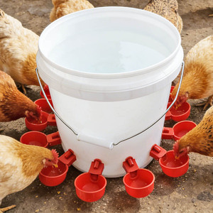 Bebederos automáticos para pollos, patos, gansos, codornices, pollitos, patos y aves; comederos para aves de corral. - Product Image 2