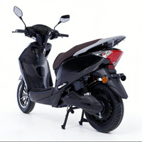 Vélo Électrique Haute Performance God Wealth pour l'Exportation Transfrontalière, avec Assistance au Pédalage, Vitesse Maximale de 60 km/h et Grande Autonomie