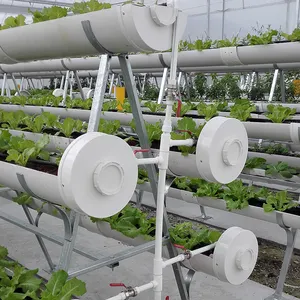 Vertikales Hydroponik-Anbaus ystem für landwirtschaft liche Gewächs häuser