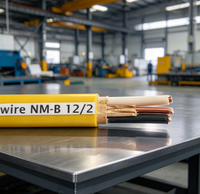 Câble électrique en cuivre non métallique gainé NM-B Romex 600V pour câblage résidentiel intérieur, câble d'alimentation pour maison, usine