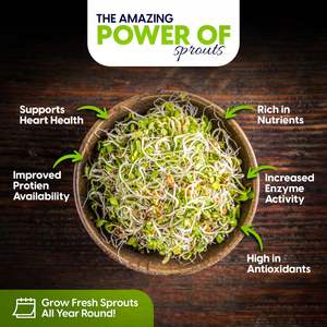 Kit de Cultivo de Microgreens para Uso Doméstico, Caja para Germinar Frijoles, Guisantes y Trigo, Orgánico y Saludable - Product Image 3