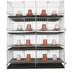 Cage d'élevage avicole moderne automatisée en H, haute capacité pour cailles et poulets de chair - Product Image 2
