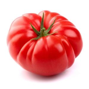 <span class=keywords><strong>Pomodoro</strong></span> Cavallino - Product Image 2