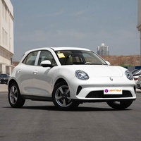 Nouvelle version de luxe OR-A Good Cat EV 401 km |   Voiture électrique ORA CAT avec batterie de 45,9 kWh en stock