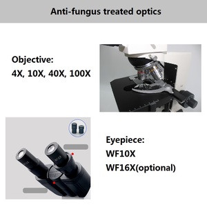 <span class=keywords><strong>Microscope</strong></span> biologique composé Boshida BD-SW2001, prix d'usine, grossissement 40X-1600X - Product Image 3