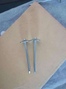 Clavos para Techo BWG9x2-1/2'' con Cabeza de Paraguas y Espiral Lisa - Product Image 5