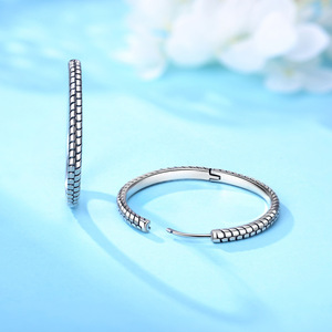 Estos aretes de cobre blanco con diseño de hueso de serpiente son resistentes a la decoloración y son un gran regalo para el día a día o para fiestas para niñas. - Product Image 4