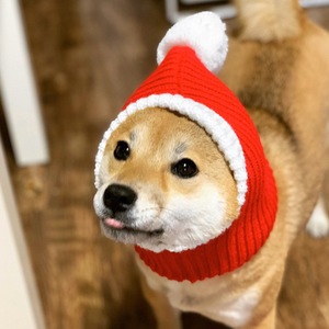 Nuovo <span class=keywords><strong>Design</strong></span> Doe <span class=keywords><strong>Pet</strong></span>: Cappello Natalizio per Cani, Berretto Invernale per Animali Domestici, Accessori per Cani, Felice Anno Nuovo - Product Image 3