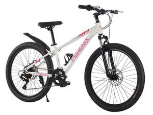 Vélo de Montagne en Gros, Stock d'Usine, Frein à Disque, Acier, 20, 22, 24, 26 Pouces, pour Homme Adulte - Product Image 4