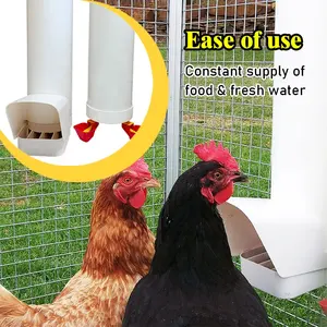 LZ ph-258/259 plastica per uso domestico automatico per uso domestico mangiatoie e bevitori di pollo