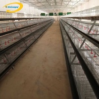Cage à poules automatique en forme de pyramide, cages à coqs, cages à poulets de type A pour poulets de chair, fournie par l'usine