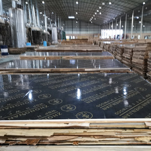 Specializzato per la costruzione personalizzabile curvo e piatto <span class=keywords><strong>compensato</strong></span> a prezzi competitivi - Product Image 3