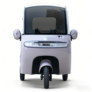 Tricycle électrique à carrosserie ouverte à <span class=keywords><strong>bas</strong></span> prix, 650W, pour adultes, 3 places, vitesse maximale de 35 km/h - Product Image 4