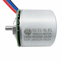 Motor sin Escobillas de 24V con Control de Velocidad PWM, BL4030W IP54, 3748 RPM, 85 m.Nm de Torque, Micromotor para Pistola de Masaje Eléctrica